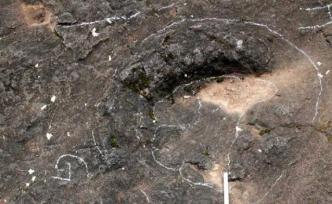 浙江蘭溪一處億年前恐龍腳印卻被村民填了，目前已封山保護