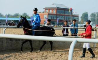 临沂大学开设马术选修课，当地马术运动协会会长获聘客座教授