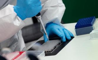 美國政府擬強制采集非法移民DNA，導入聯(lián)邦調查局數(shù)據(jù)庫