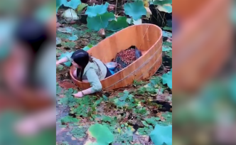 大媽公園“水上漂”：蹲洗澡木盆摘菱角