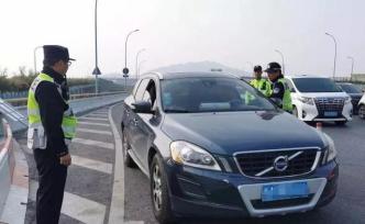 花美勿摘！兩女子杭州高架停車摘月季，一人被處罰一人賠錢