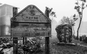 駱偉玲：霧里阿者科