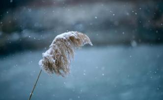 李修文：鑄一座用浪花、熱淚和黑鐵澆灌的紀(jì)念碑