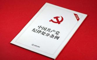 自動(dòng)投案的吉林廳官留黨察看一年：認(rèn)錯(cuò)悔錯(cuò)態(tài)度較好