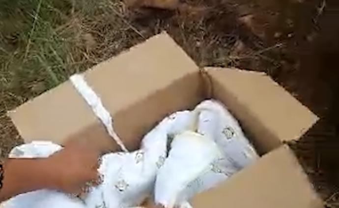 律師:男嬰家屬涉遺棄罪或故意殺人未遂