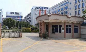 白云电器一个实控人内幕交易自家股票：亏了仍被罚款25万元