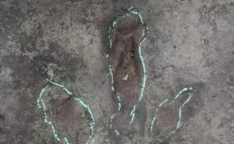 四川宜賓拍到巨大恐龍腳印，專家：是侏羅紀晚期實雷龍留下的