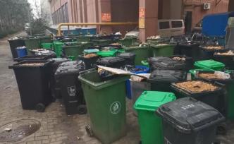 高校餐廳堆放近百泔水桶，學(xué)生吐槽味太大