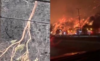 美國加州山火源頭曝光：一根樹枝引發(fā)