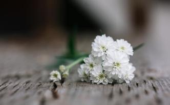 殯葬專業(yè)火爆背后的5000億巨大市場(chǎng)