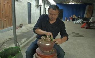 奇思妙想的收益：種植戶把香菇種進花盆