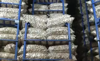 “蒜”你狠卷土重来：新蒜价格坐“过山车”，创三年新高