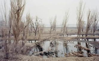 對話張克純：鏡頭下的當代中國畫卷