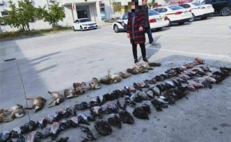 洪澤湖畔數(shù)百水鳥遭捕殺販賣，“野保特攻隊(duì)”阻擊