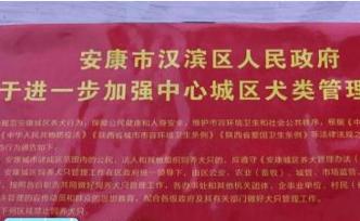 陜西安康回應(yīng)“養(yǎng)犬通告20處錯誤”：疑制作時出錯，正調(diào)查