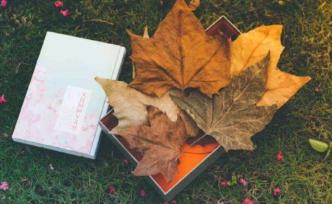 119元/片的“香榭落葉”：可能有潛在危害可能是消費欺詐