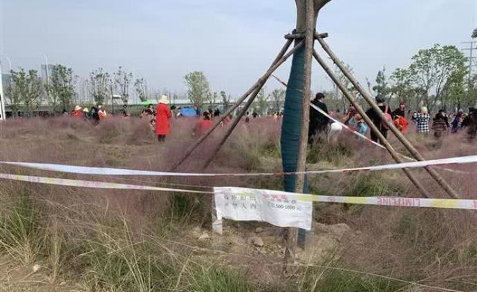 景区魔性播放“要讲素质”,劝阻踩踏花草