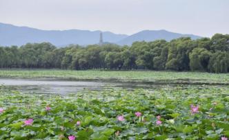 郭守敬：水脈整治與文脈奠基