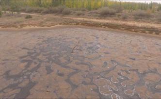 騰格里沙漠又現(xiàn)大面積污染物？寧夏中衛(wèi)：正調(diào)查處理