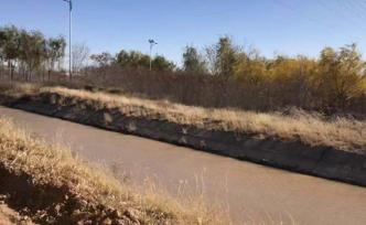 騰格里沙漠污染調(diào)查：中冶紙業(yè)前身用污水灌溉，挖坑排污掩埋