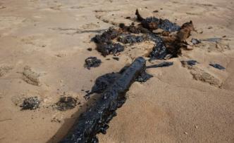 騰格里沙漠現(xiàn)大面積污染，中冶美利云公司發(fā)澄清公告