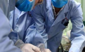 海南一小学43名学生误食麻风果中毒，官方：病情平稳可控