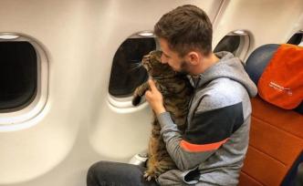 痩貓換胖貓，俄航乘客偷帶超重寵物上機被清空常旅客里程數(shù)