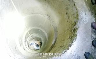 孕婦掉入5米深枯井，丈夫呼救