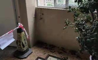 巴中女教师坠亡之谜