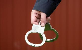 河北一無人駕駛?cè)嗆嚹胨佬腥?，車主涉嫌過失致人死亡被刑拘