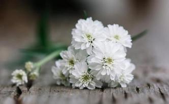 問(wèn)吧精選 | 我在高校教殯葬課