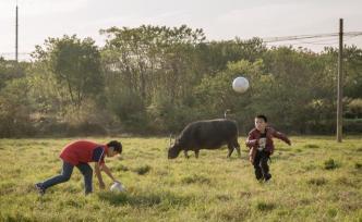 一位鄉(xiāng)村足球教練的自白：在現(xiàn)實(shí)面前，夢(mèng)想不堪一擊