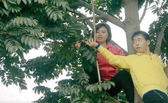 從爛地里到年銷500萬，90后女孩帶200戶村民賣橄欖