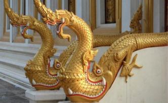 維舟：中國(guó)人崇拜的龍究竟是什么？