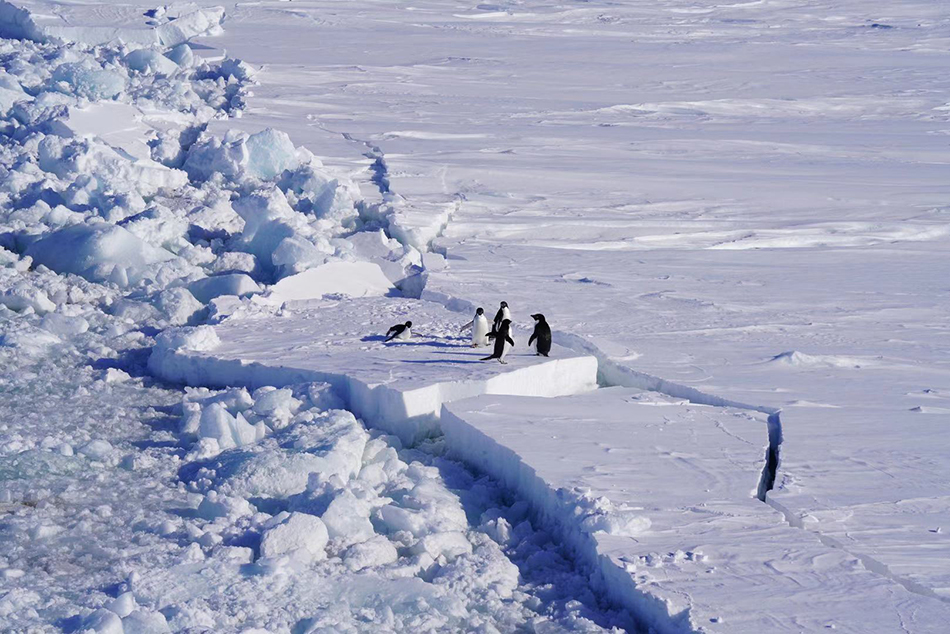 微信圖片_20191121223601