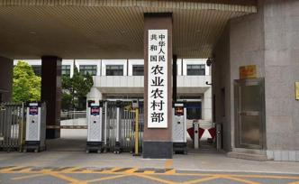 農(nóng)業(yè)農(nóng)村部召開(kāi)九省區(qū)市生豬生產(chǎn)調(diào)度會(huì)：全力推動(dòng)生產(chǎn)恢復(fù)