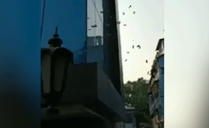 現(xiàn)金從天而降:印度街頭下“錢(qián)雨”