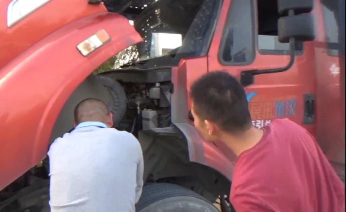 国家一级保护动物缅甸蟒钻车头,消防捕获