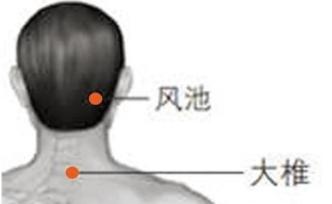 大風(fēng)+寒潮警報：最低3度丨除了穿棉毛褲，切記做好這四點