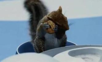 被門(mén)夾過(guò)的核桃，吃了還能補(bǔ)腦嗎？