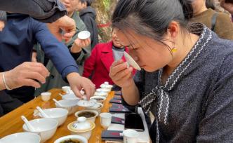 直播錄像丨巖茶茶王之戰(zhàn)，武夷天心村民間斗茶節(jié)開幕