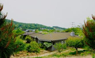 著名的“三八线”附近，是不为人知的生态徒步地带