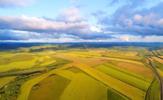 国新办：高标准农田建设取得明显成效