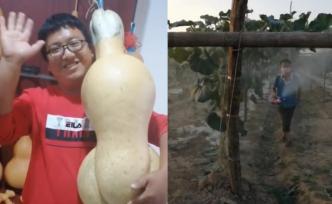 大學(xué)生辭職回村種葫蘆，最貴一個賣五千塊