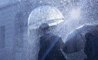 陕西通报8起涉黄赌毒和充当黑恶势力“保护伞” 典型案例