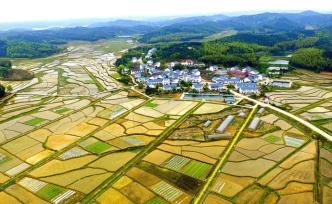 第二輪土地承包到期后再延長(zhǎng)三十年，賦予農(nóng)民長(zhǎng)久穩(wěn)定地權(quán)