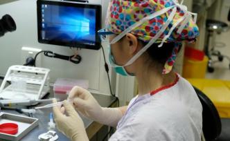 直播錄像丨女性凍卵有風(fēng)險？男性備孕吃葉酸？聽專家科普說