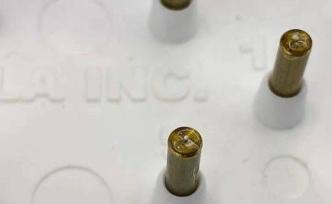 先有雞還是先有蛋？6.1億年前化石給出答案：先有蛋