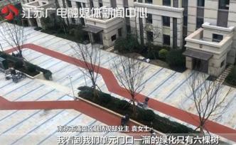 說“綠化茂密”卻只有6棵樹？開發(fā)商：紅燒牛肉面還沒牛肉呢