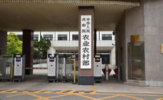 農業(yè)農村部：已取締4471家不符要求生豬定點屠宰廠